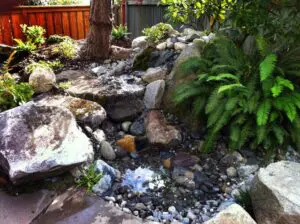 A small backyard rock garden features large stones, ferns, and a shallow pond with water surrounded by pebbles near a wooden fence.