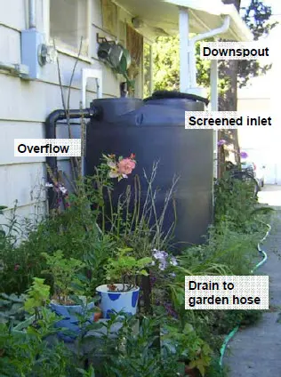 A rainwater collection system with labeled parts: downspout, screened inlet, overflow, and a drain to a garden hose, placed next to a house surrounded by plants.