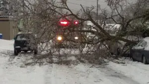 A fallen tree blocks a snow-covered road, with a fire truck and emergency lights visible behind it; cars are parked on both sides.