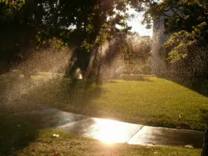 Sunlight shines through tree branches onto a green lawn and wet sidewalk as sprinklers spray water across the yard.