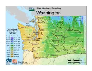 A color-coded USDA plant hardiness zone map of Washington state, showing zones based on average annual extreme minimum temperatures from 1976–2005.