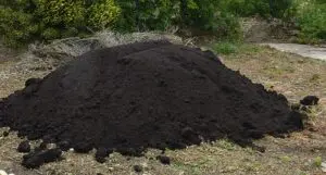 A large pile of dark compost or soil sits on bare ground outdoors, surrounded by greenery and dried branches.