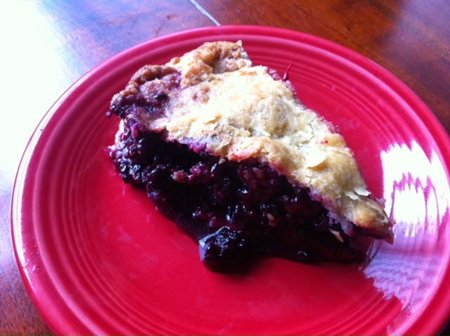 Himalayan blackberries - weed or great pie | Ecoyards