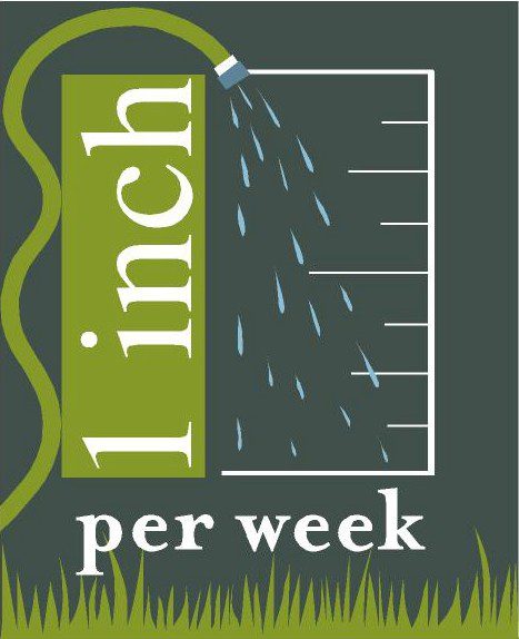 Illustration of a hose watering grass with the text "1 inch per week," indicating the recommended weekly water amount for lawns.