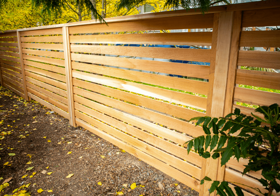 A wooden horizontal slat fence runs along a yard, bordered by soil and yellow fallen leaves with green plants in the foreground.