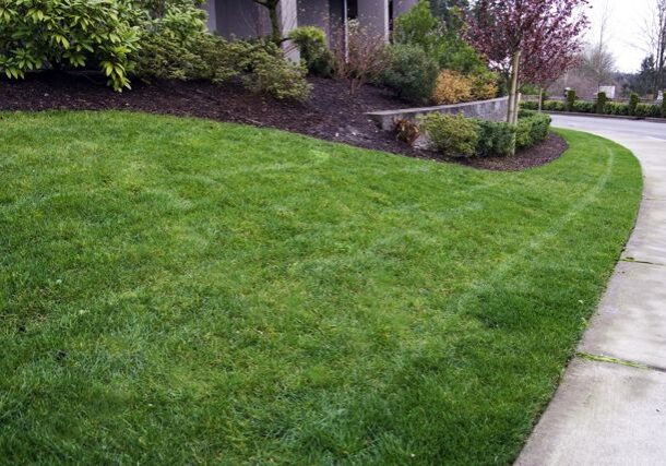 A neatly trimmed green lawn bordered by a sidewalk and landscaped bushes, with a curved driveway on the right side.