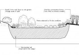 raingarden1-300x195