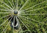 A lawn sprinkler sprays multiple streams of water over green grass.